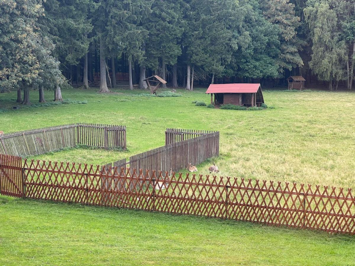 Villa Berolina Mariánské Lázně Eksteriør billede